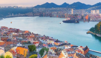 0基础学编程c语言-零基础学 C 语言