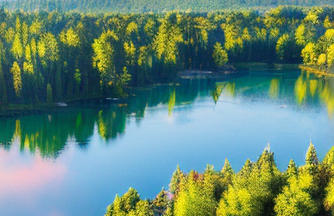 c语言函数类型-c 语言函数类型